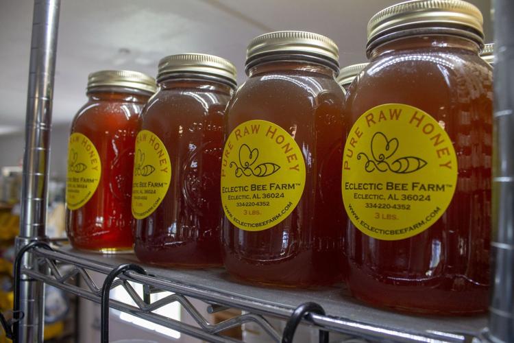 Bee farm buzzing with activity