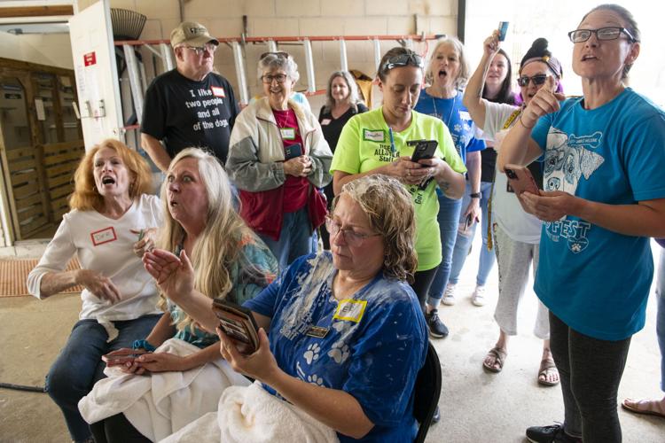 PHOTOS: Jordan's Way helps raise funds for animal shelters