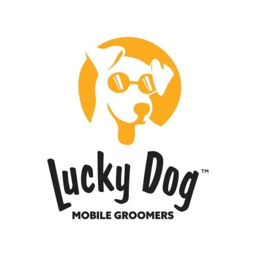 Lucky Dog Mobile Groomers shares five reasons mobile grooming is a holiday lifesaver for busy pet parents. (PRNewsfoto/Lucky Dog Mobile Groomers)