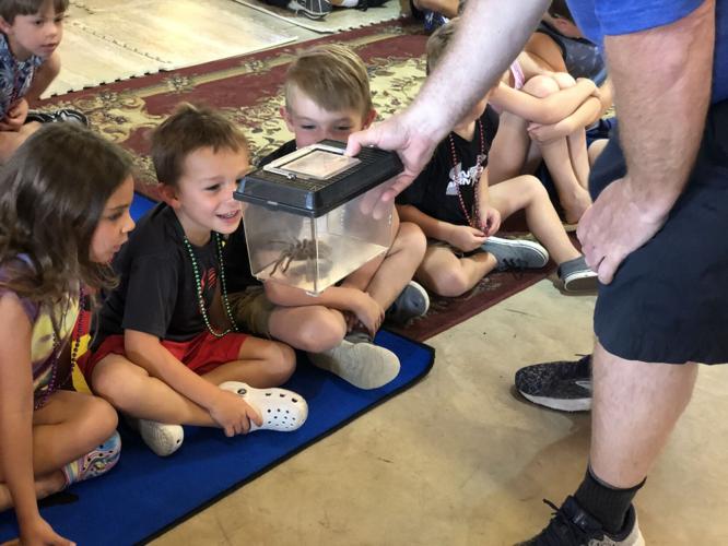 PHOTO GALLERY: Eclectic library's summer reading program