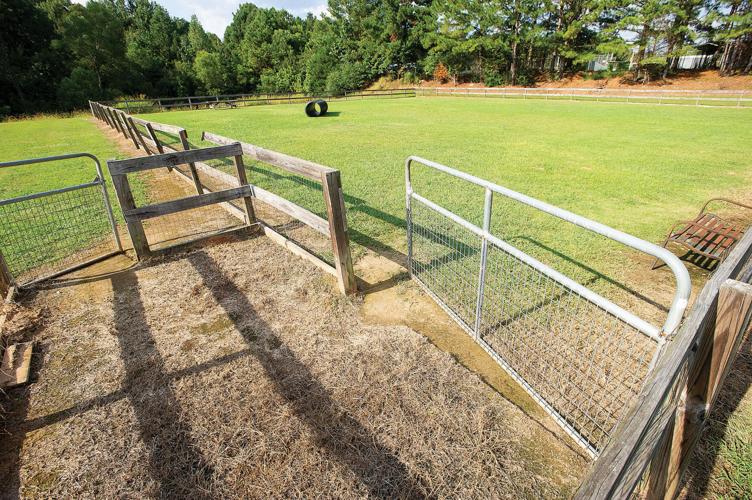 Alexander City council accepts money for parks and rec, approves council districts in annexed areas