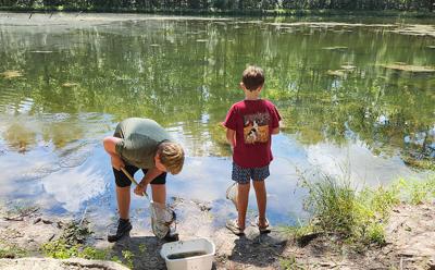 Submitted / TPI Eclectic Middle School students see what they can find in a pond as part of the water festival at Lanark.