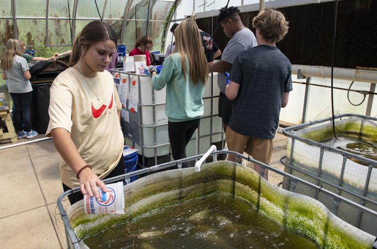 PHOTOS: Growing tilapia and tomatoes at Tallassee High School