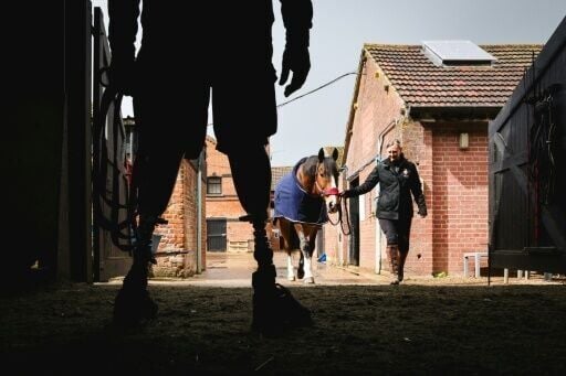 Army veteran Al Strudwick (L), a former Sergeant who served with the Intelligence Corps of the Army, waits his turn to take part in an exercise to gain the trust of a horse at The Light Cavalry Honorable Artillery Company stables