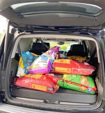 Local bank collects donations for animal shelter