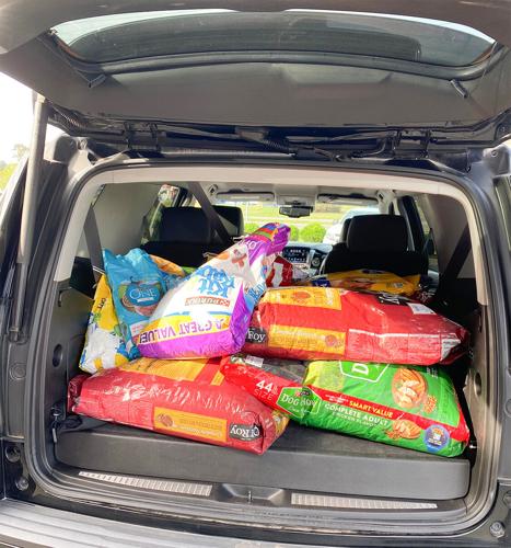 Local bank collects donations for animal shelter