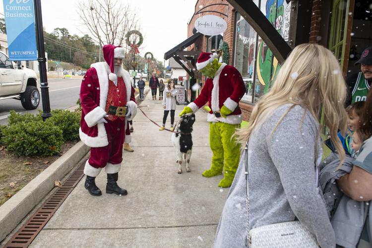 PHOTOS: Santa, The Grinch and a goat at The Gab