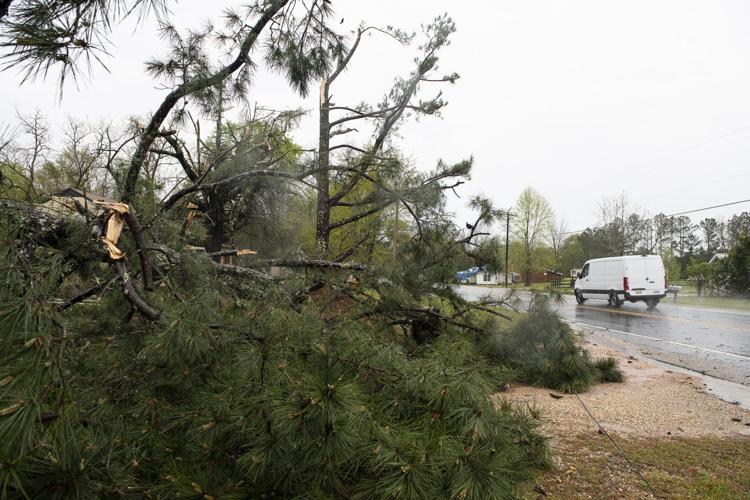 PHOTOS: Storm damage in Elmore County