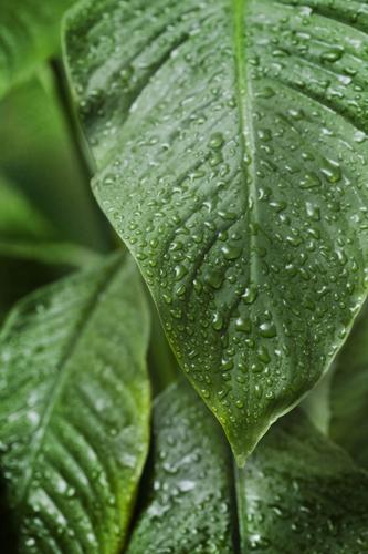 How COVID-19 will change our homes