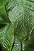 How COVID-19 will change our homes