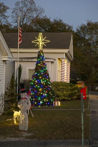 PHOTOS: Christmas tree in Eclectic is lit