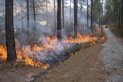 Burns benefit water quality