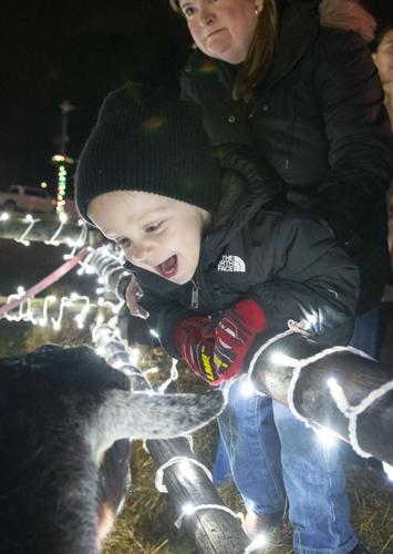 Millbrook Tree Lighting