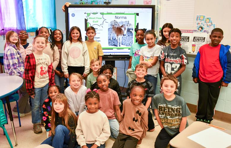 110525 stephens adopted calves1.jpg