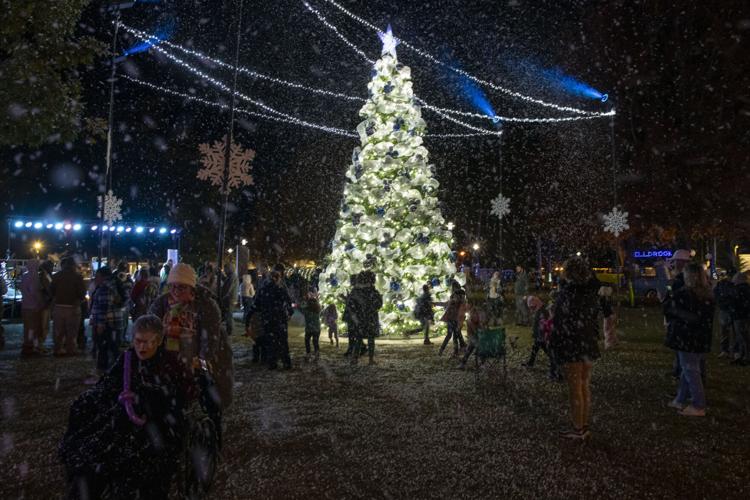 PHOTOS: Millbrook Christmas Tree Lighting ceremony