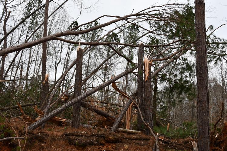 PHOTOS: Storm damage around the Lake Martin area