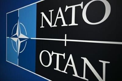A NATO official played down the significance of the announcement