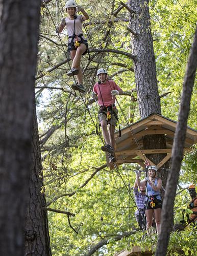 Fly through the trees