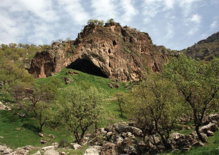 75,000-year-old wound may be earliest evidence of human ancestor killed by spear