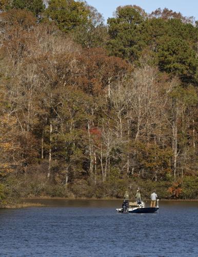 Give life to your bait