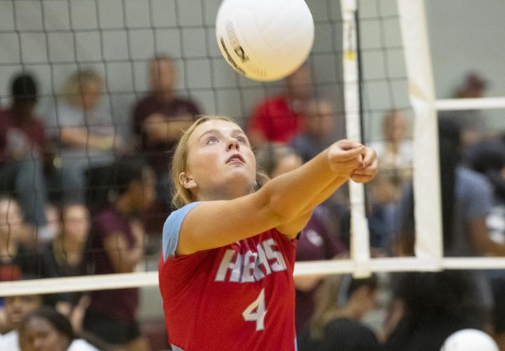 PHOTOS: Elmore County volleyball hosts block party