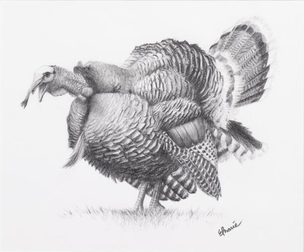 Art & Photography Contest Winners
