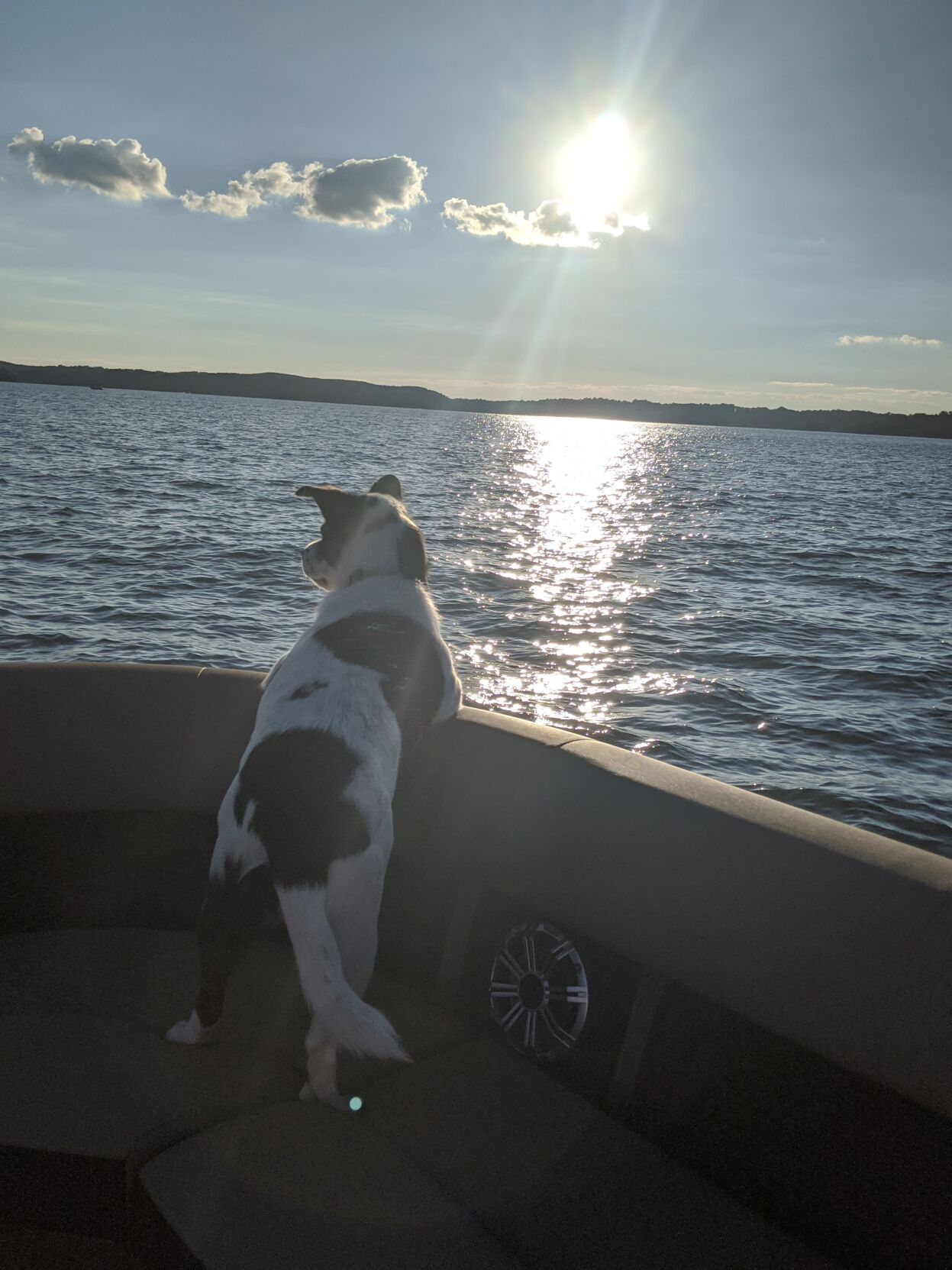 Dolly Catching a Boat Ride.jpg