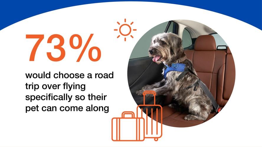 According to a new Subaru of America survey, conducted by Talker Research, about three in four respondents (73%) said they are more likely to take a road trip than fly, specifically so they can bring their pet along.