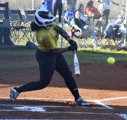 Dadeville Central Coosa softball