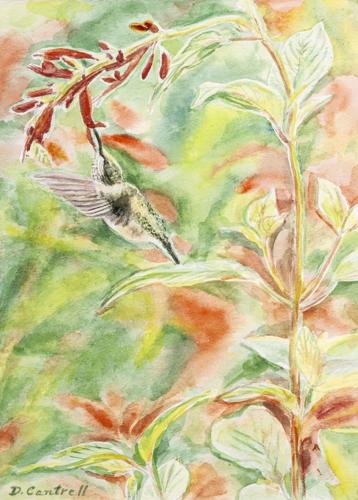 Lake Martin Living Art & Photo Contest