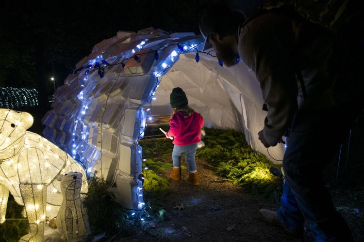 PHOTOS: Millbrook Christmas Tree Lighting ceremony