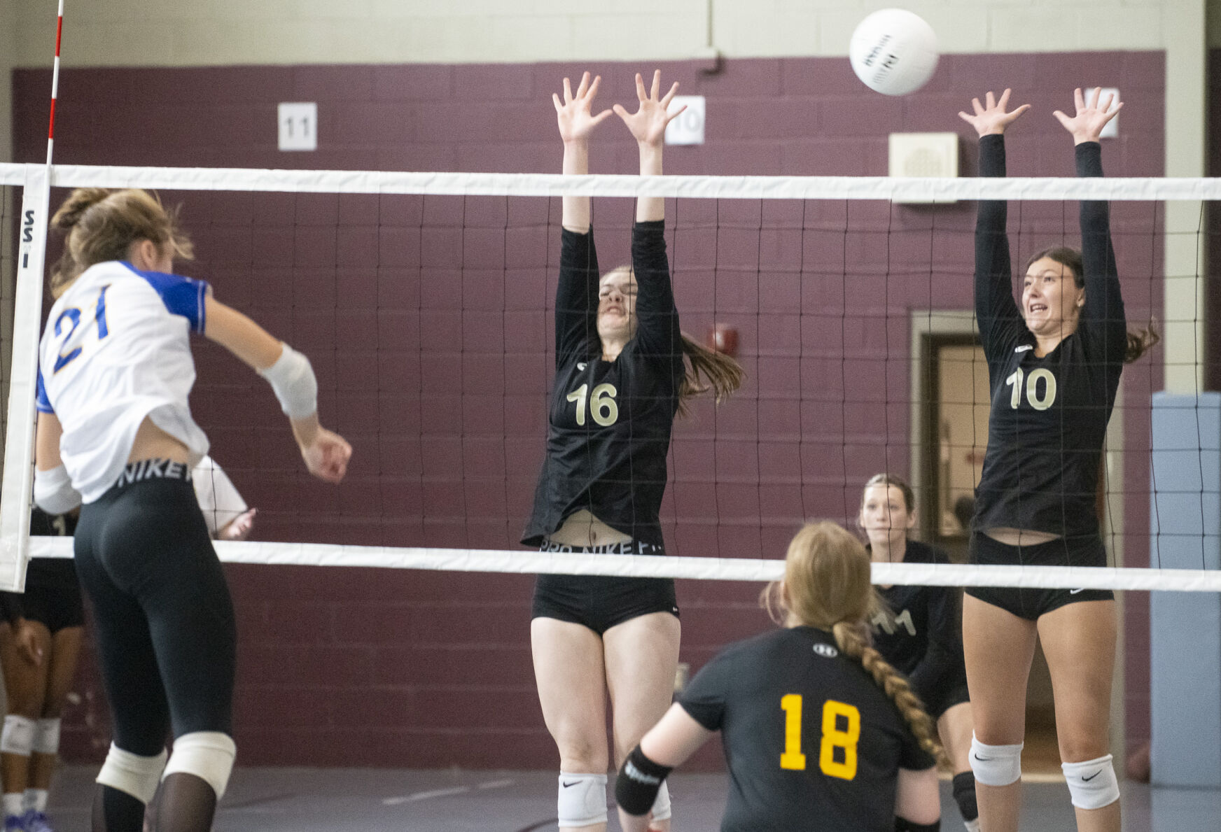PHOTOS: Elmore County volleyball hosts block party