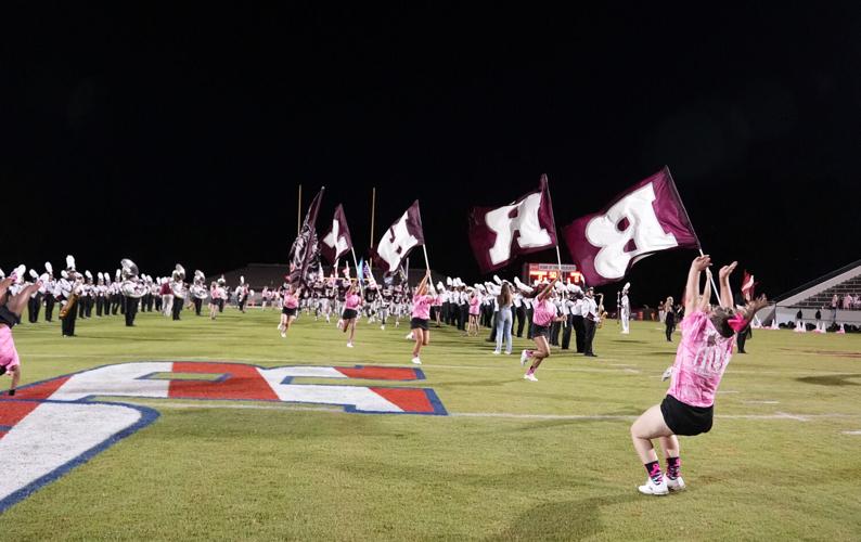 PHOTOS: Wildcats take on the Panthers