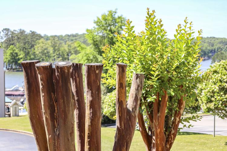 Right plants for our climate