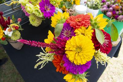 Holtville High School offers counseling after student death