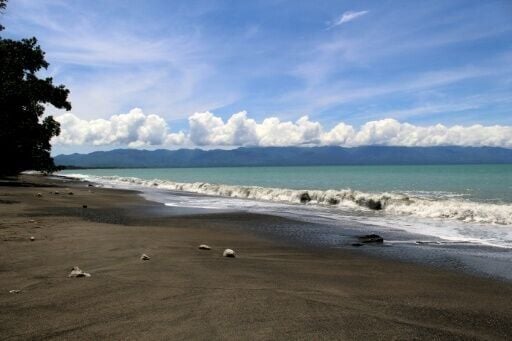 Locals in Matantas realised the leaf could help protect the forest, and began publicising its presence in Vatthe as a way to keep outsiders away