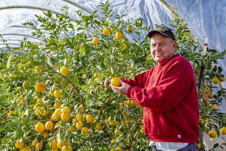 Citrus Creek Farm
