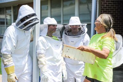 Students feel the beewitching allure of the hive at bee camp