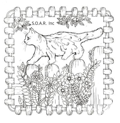 SOAR Inc. to contest for local students