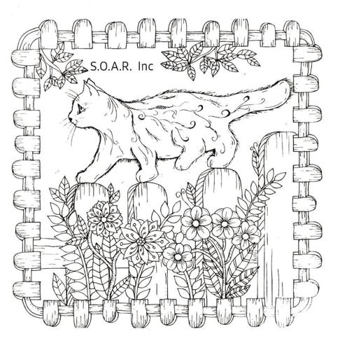 SOAR Inc. to contest for local students