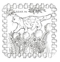 SOAR Inc. to contest for local students