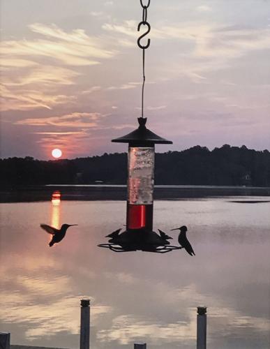 Lake Martin Living Art & Photo Contest