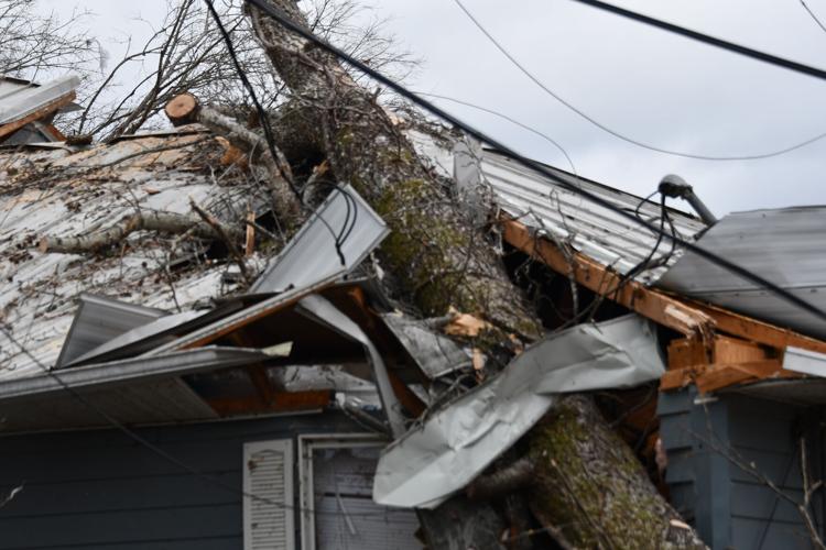 PHOTOS: Storm damage around the Lake Martin area