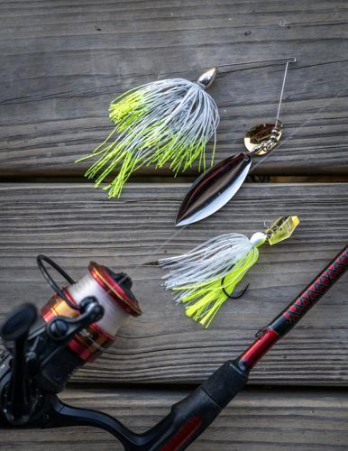 Spinnerbait vs. Chatterbait