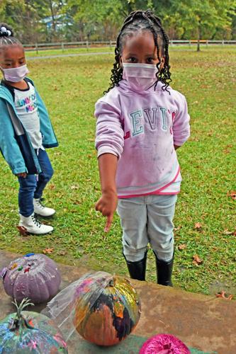 PHOTOS: Pumpkin painting at Cooper Rec