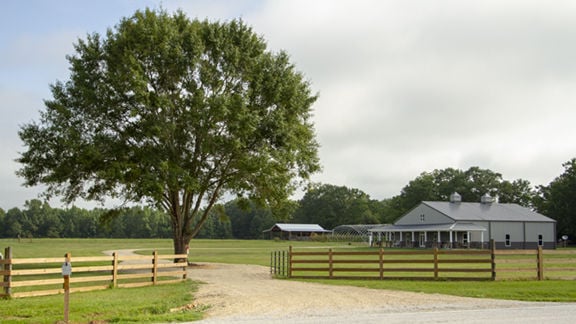 Lone Oak Farm
