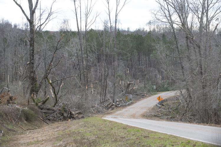 PHOTOS: Cleanup in the Lightwood community after the tornado