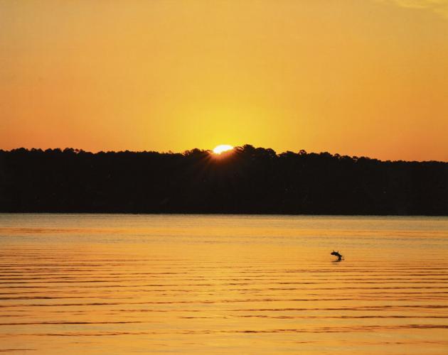 Lake Martin Living Art & Photo Contest