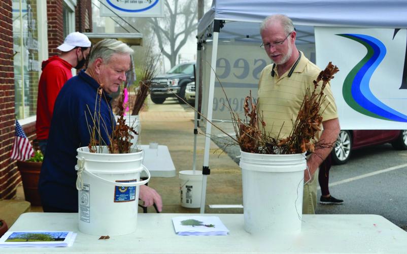 Tallassee Chamber of Commerce gave away free trees for Arbor Day