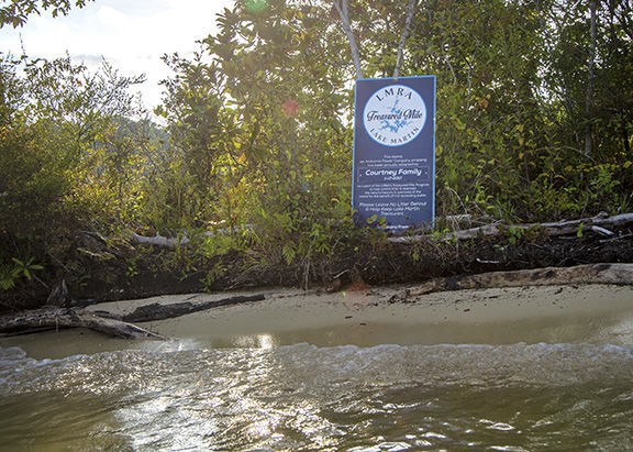 What's Reshaping Lake Martin